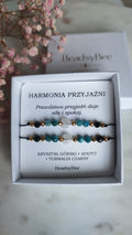 Harmonia przyjaźni